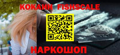 спайс Кингисепп