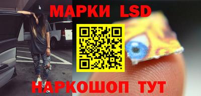 спайс Кингисепп