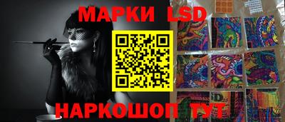 спайс Кингисепп