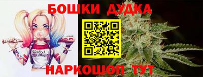 спайс Кингисепп