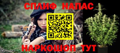 крисы Кинель