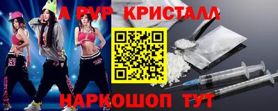 спайс Кингисепп