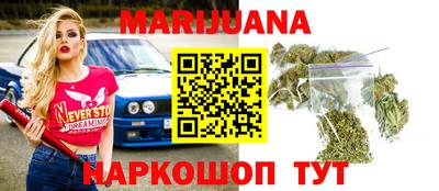 спайс Кингисепп