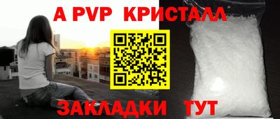 ECSTASY Кимры