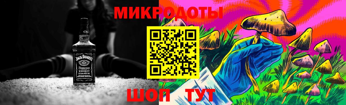 Галлюциногенные грибы Psilocybine cubensis Котлас